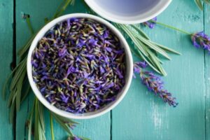 A lavanda é uma planta sub-arbustiva, lenhosa na base e que pode atingir até um metro de altura. 